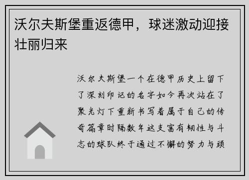 沃尔夫斯堡重返德甲，球迷激动迎接壮丽归来