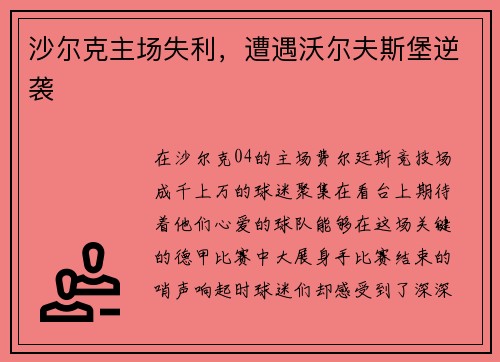 沙尔克主场失利，遭遇沃尔夫斯堡逆袭